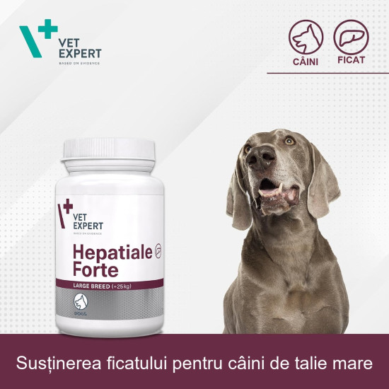 Hepatiale Vet Expert – Large Breed – supliment pentru susținerea funcției hepatice la câini de talie mare, 40 tablete